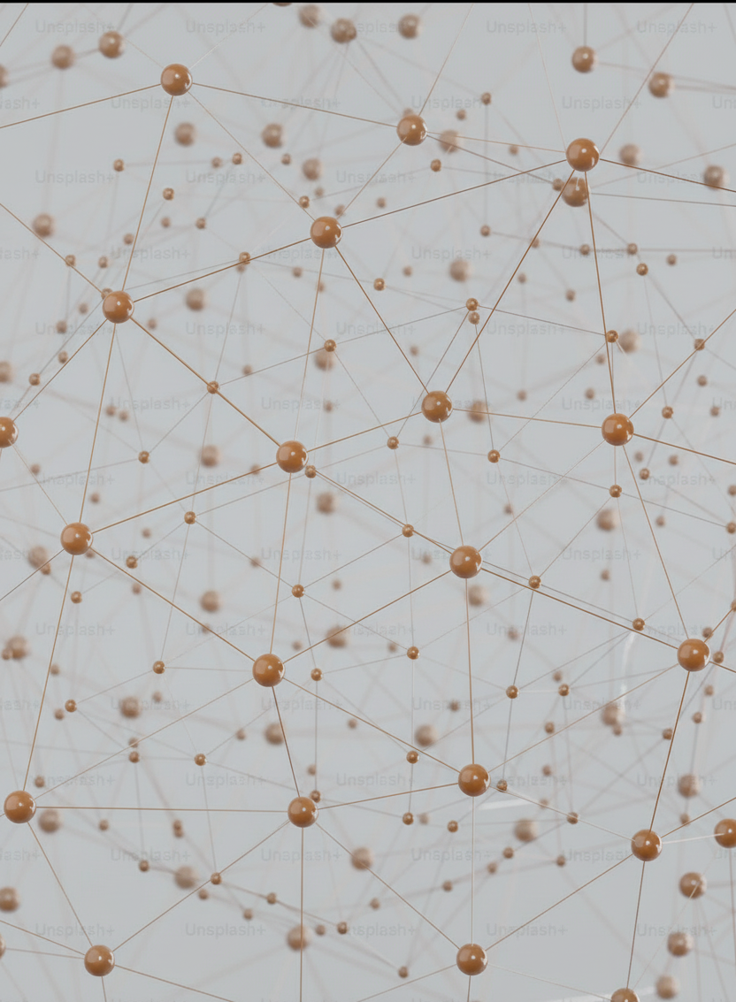 Image of people doing squat workouts